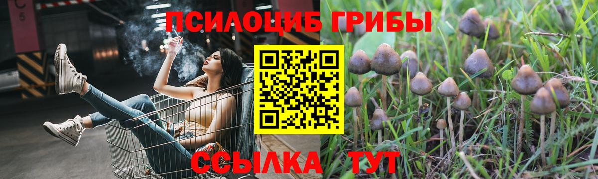 Десногорск  купить закладку  Галлюциногенные грибы мицелий  Вход с VPN  Псилоцибиновые грибы прущие грибы 
